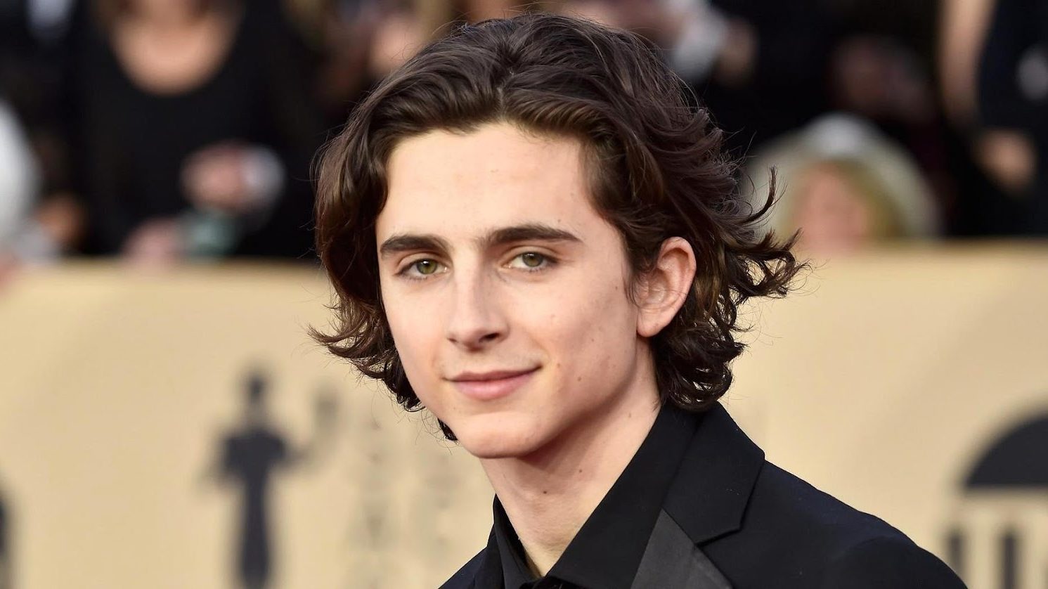 Timothée Chalamet Willie Wonk