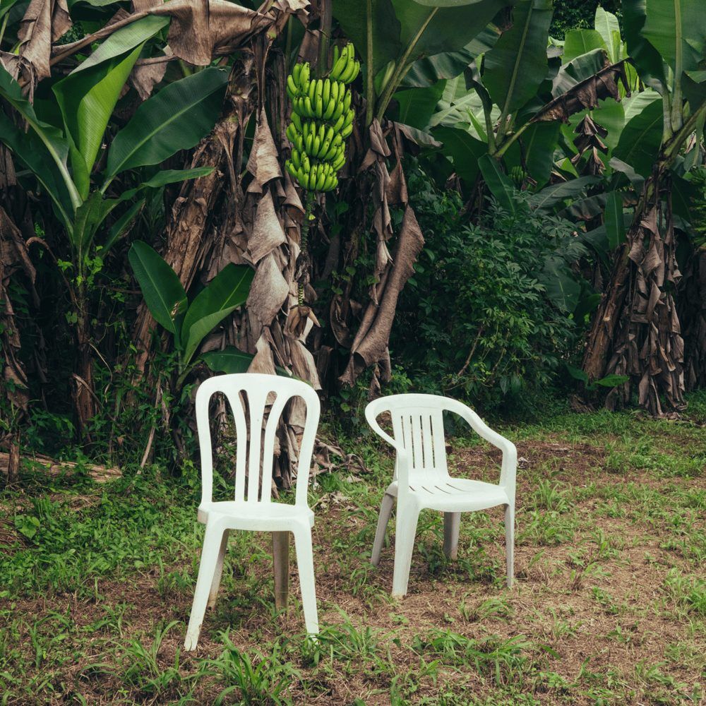 Bad Bunny - Debí Tirar Más Fotos