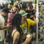 Festival Híbrido