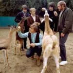 Beach Boys - Pet Sounds