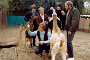 Beach Boys - Pet Sounds