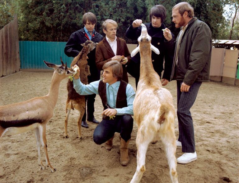 Beach Boys - Pet Sounds