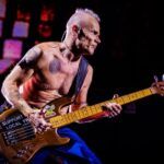 Flea