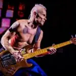Flea