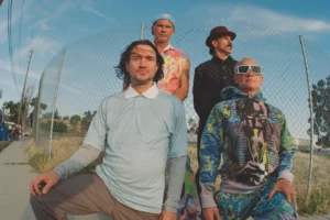 Red Hot Chili Peppers Netflix