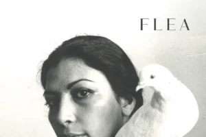 Flea - Honora