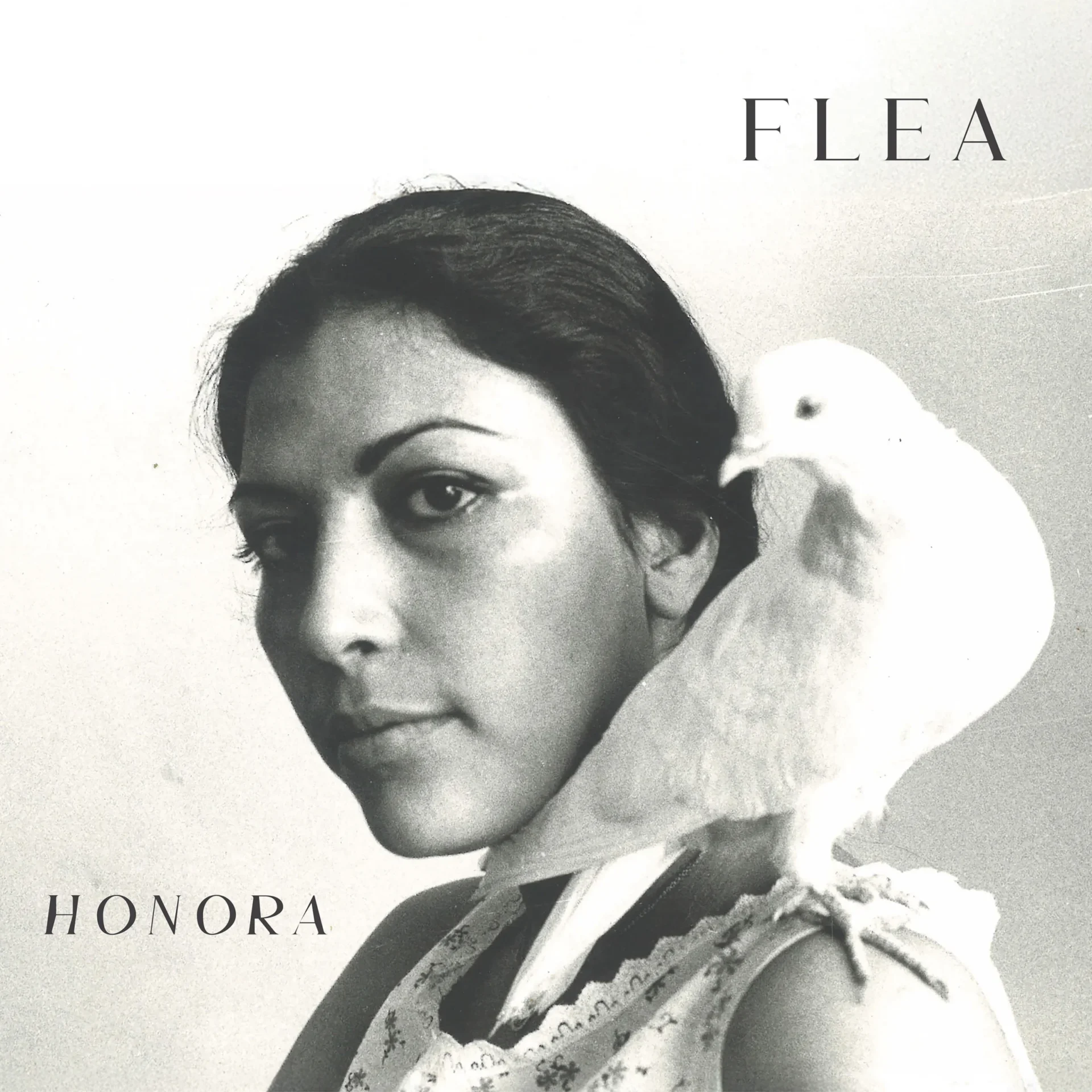 Flea - Honora