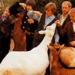 Pet Sounds