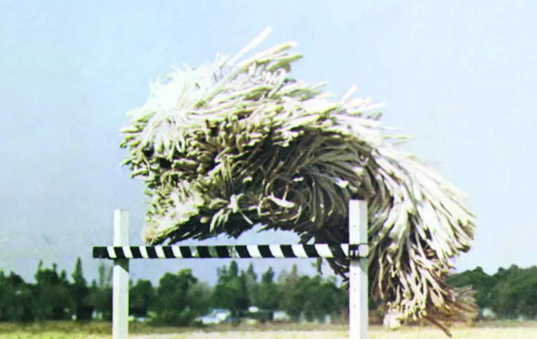 Beck - Odelay